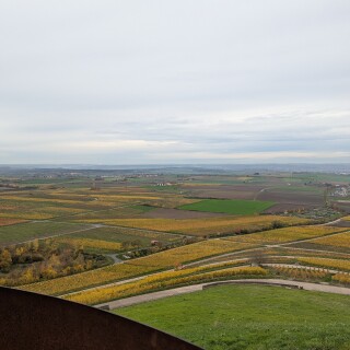 PXL_20251101_122757170